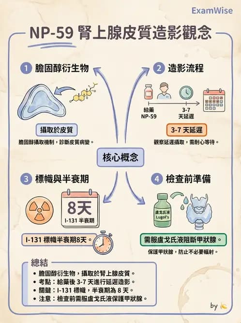 放射 - 腫瘤與內分泌造影SPECT藥物 - AI 圖文解析預覽