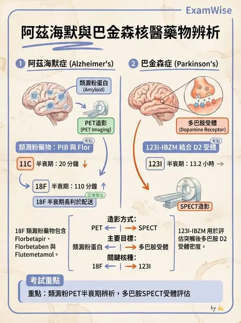 放射 - 腦神經PET藥物 - AI 圖文解析預覽