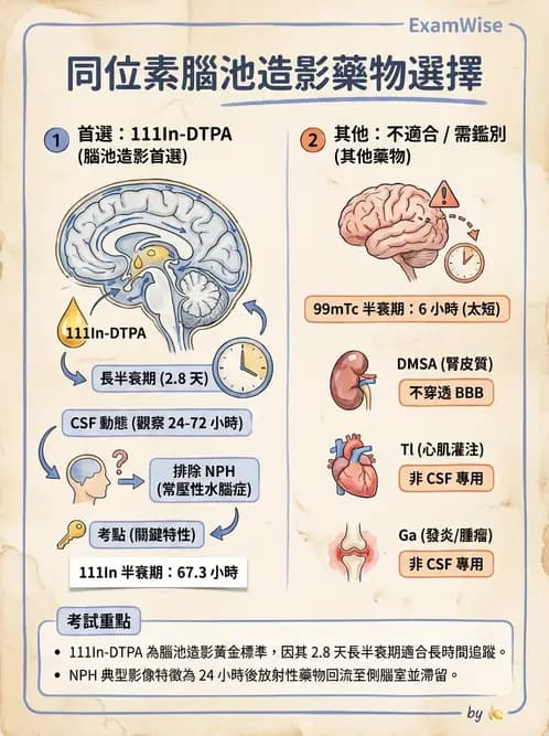 放射 - 腦部造影 - AI 圖文解析預覽