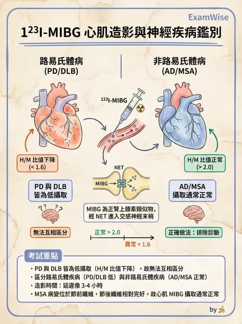 放射 - 心室功能造影 - AI 圖文解析預覽