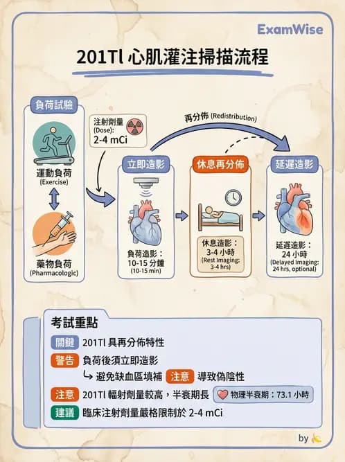 放射 - 心臟灌注造影 - AI 圖文解析預覽