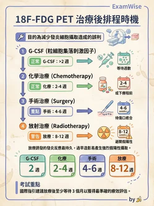 放射 - FDG PET造影 - AI 圖文解析預覽