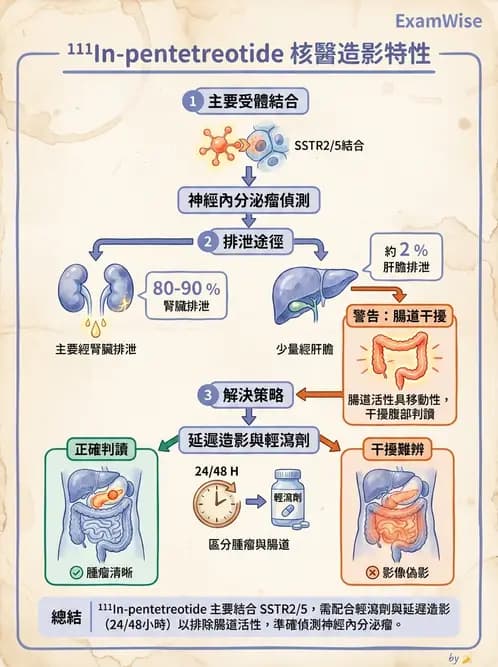 放射 - 腫瘤與內分泌造影SPECT藥物 - AI 圖文解析預覽