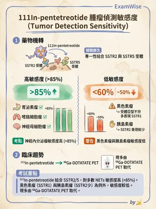 放射 - 標靶受體腫瘤造影 - AI 圖文解析預覽