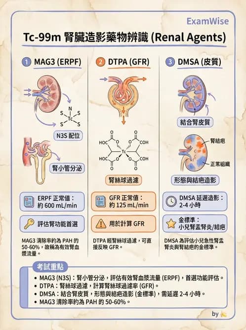 放射 - 腎臟造影SPECT藥物 - AI 圖文解析預覽