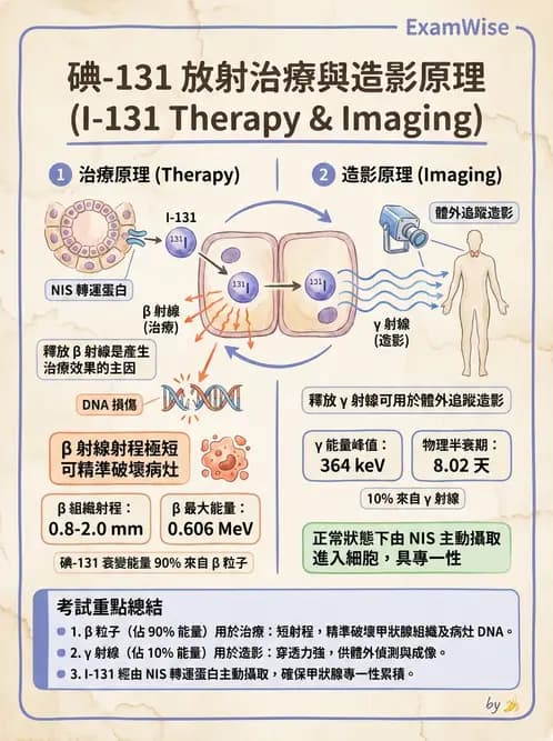 放射 - 治療用核醫藥物 - AI 圖文解析預覽