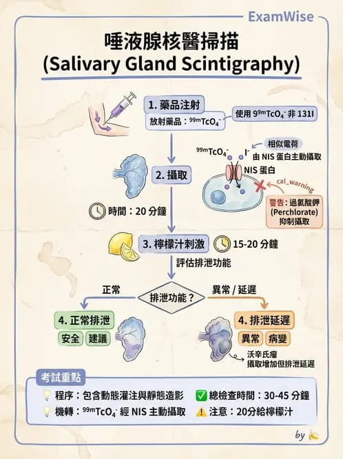 放射 - 消化道造影 - AI 圖文解析預覽