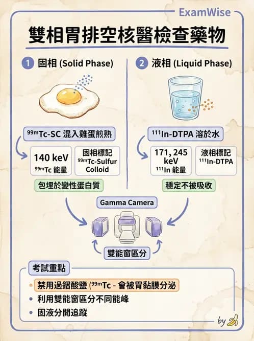 放射 - 消化道造影 - AI 圖文解析預覽