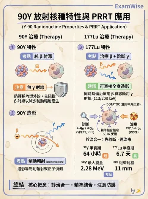 放射 - 腫瘤治療 - AI 圖文解析預覽