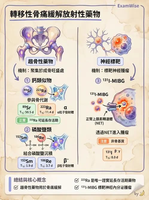 放射 - 非腫瘤治療 - AI 圖文解析預覽