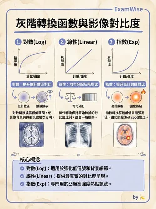 放射 - 影像設備品管 - AI 圖文解析預覽