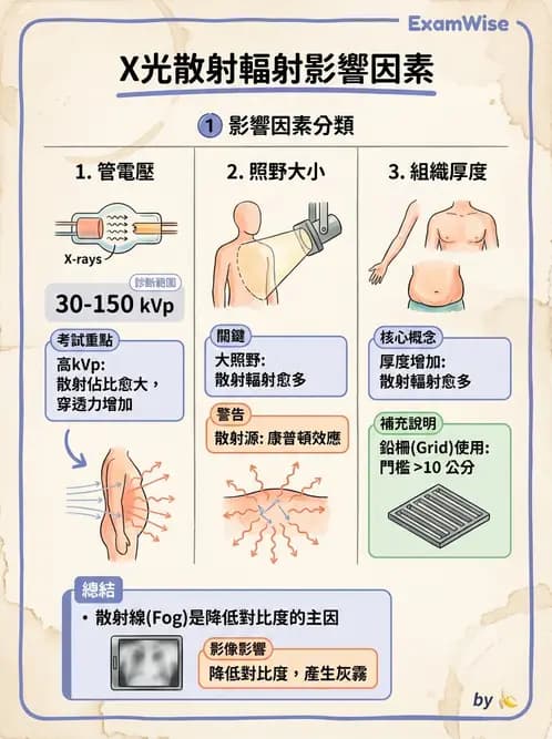 放射 - 曝光參數與散射線控制 - AI 圖文解析預覽
