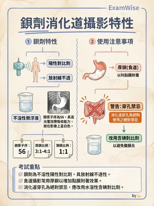 放射 - 消化道造影 - AI 圖文解析預覽