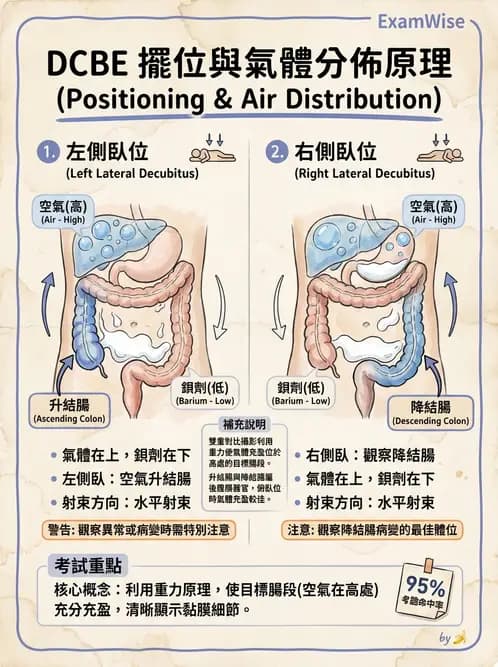 放射 - 消化道造影 - AI 圖文解析預覽