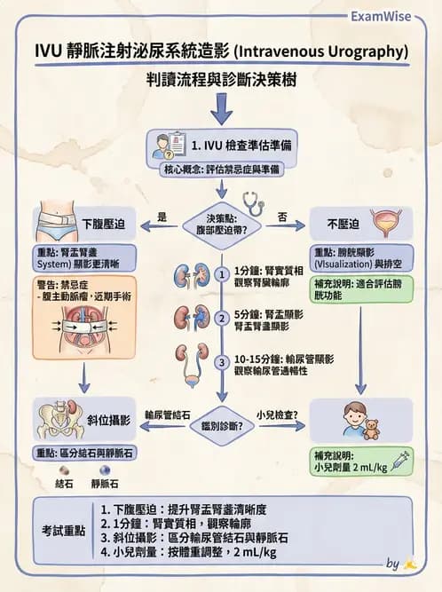 放射 - 泌尿生殖攝影 - AI 圖文解析預覽
