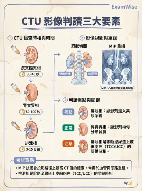 放射 - CTA與CT影像技術應用 - AI 圖文解析預覽