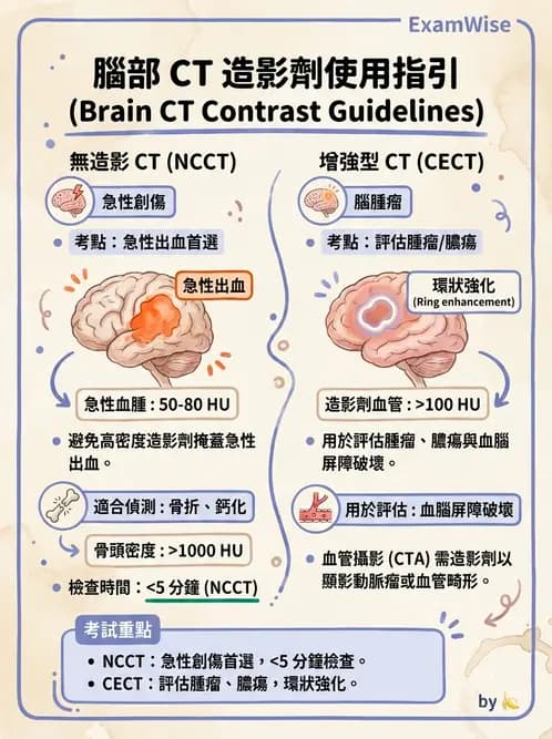 放射 - 頭頸部CT診斷 - AI 圖文解析預覽