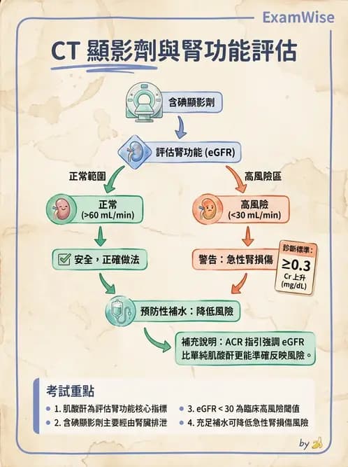 放射 - CTA與CT影像技術應用 - AI 圖文解析預覽