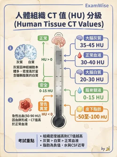 放射 - CT物理原理與掃描技術 - AI 圖文解析預覽