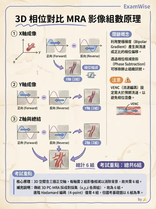 放射 - MR進階影像與臨床應用 - AI 圖文解析預覽