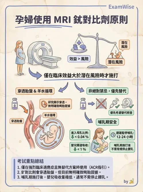 放射 - MRI安全與顯影劑 - AI 圖文解析預覽
