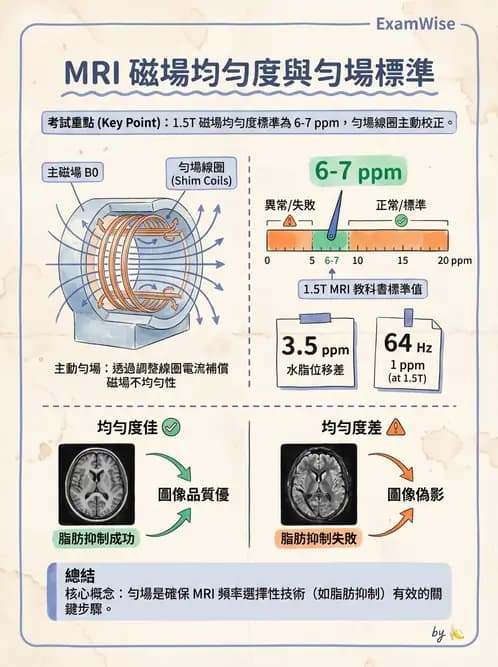 放射 - MRI系統硬體 - AI 圖文解析預覽