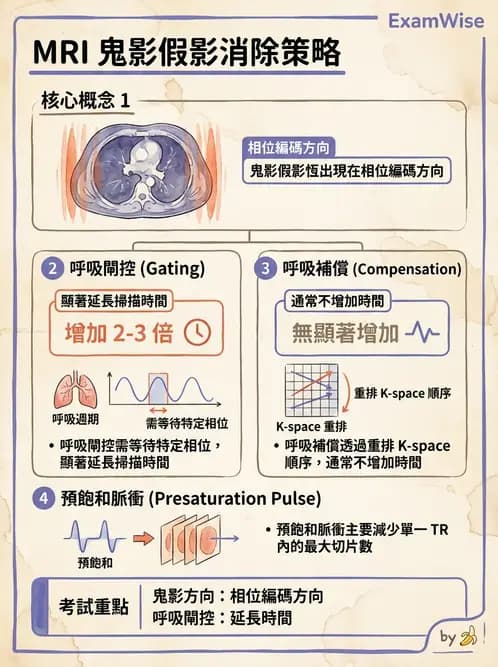 放射 - 磁振影像品質與參數 - AI 圖文解析預覽