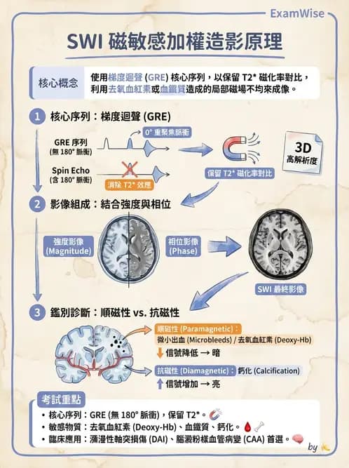放射 - MR進階影像與臨床應用 - AI 圖文解析預覽