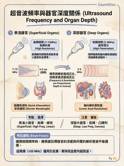 放射 - 超音波物理與技術 - AI 圖文解析預覽