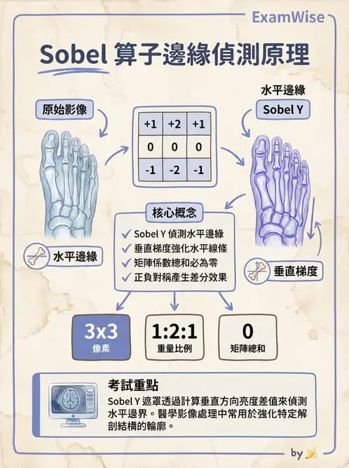 放射 - 數位影像原理與處理技術 - AI 圖文解析預覽