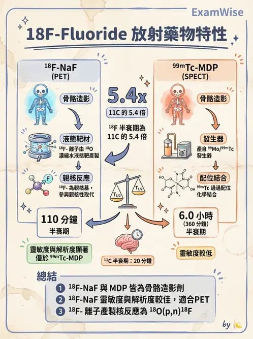 放射 - PET藥物基礎與心臟造影 - AI 圖文解析預覽
