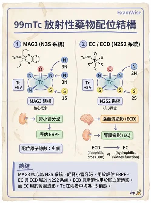 放射 - 腎臟造影SPECT藥物 - AI 圖文解析預覽