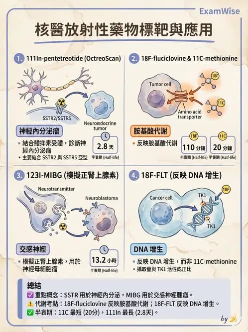 放射 - 腫瘤與內分泌造影SPECT藥物 - AI 圖文解析預覽