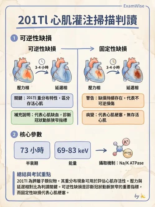 放射 - 心臟灌注造影 - AI 圖文解析預覽