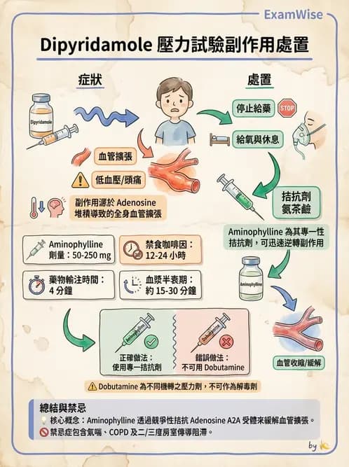 放射 - 心臟灌注造影 - AI 圖文解析預覽