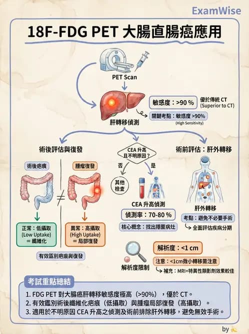 放射 - FDG PET造影 - AI 圖文解析預覽