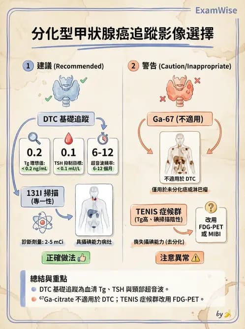 放射 - 甲狀腺造影 - AI 圖文解析預覽