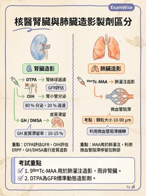 放射 - 腎臟造影SPECT藥物 - AI 圖文解析預覽