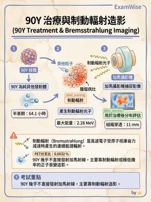 放射 - 治療用核醫藥物 - AI 圖文解析預覽