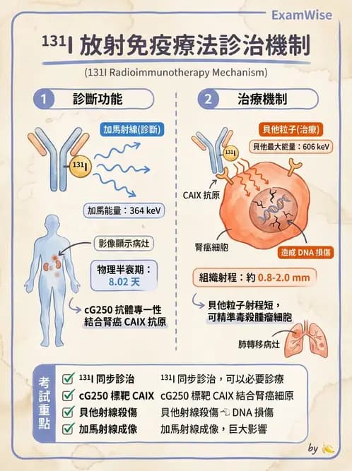 放射 - 腫瘤治療 - AI 圖文解析預覽