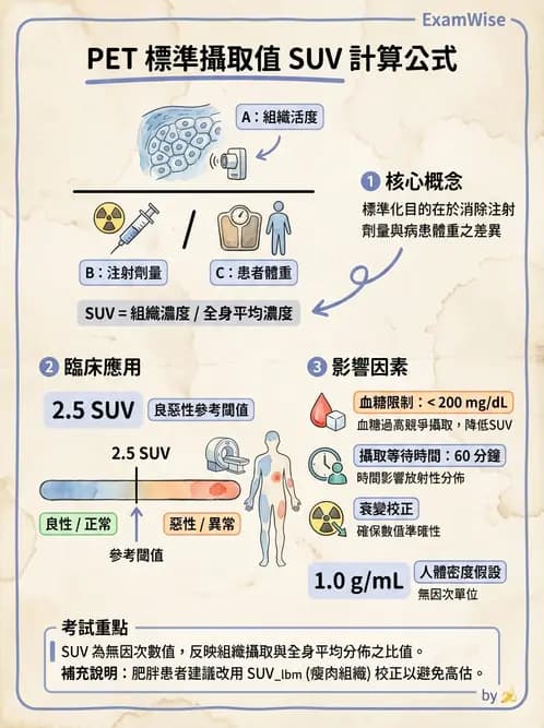 放射 - PET定量及其他 - AI 圖文解析預覽