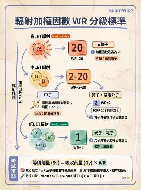 放射 - 輻射安全與保健物理 - AI 圖文解析預覽