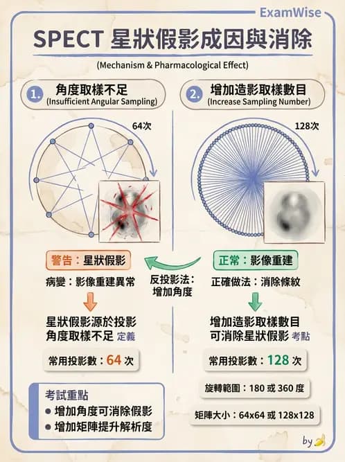 放射 - SPECT造影原理與重組 - AI 圖文解析預覽