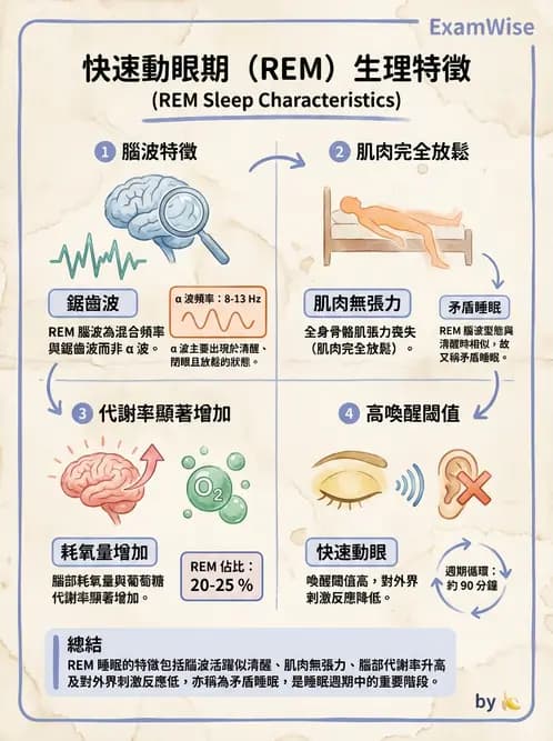 放射 - 神經生理 - AI 圖文解析預覽