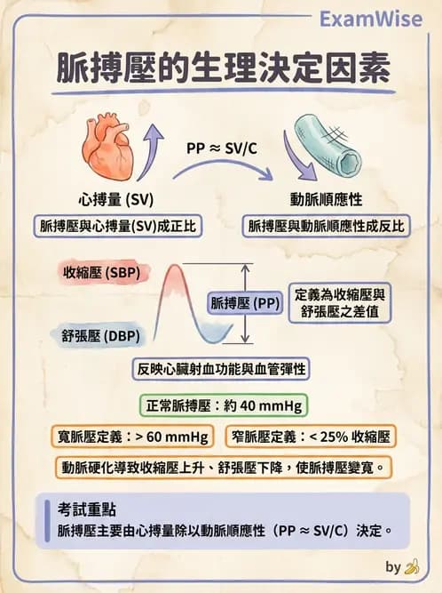 放射 - 心血管生理 - AI 圖文解析預覽