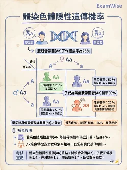 放射 - 遺傳疾病與小兒疾病 - AI 圖文解析預覽
