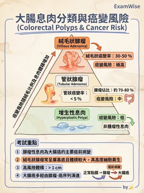 放射 - 口腔及腸胃道疾病 - AI 圖文解析預覽
