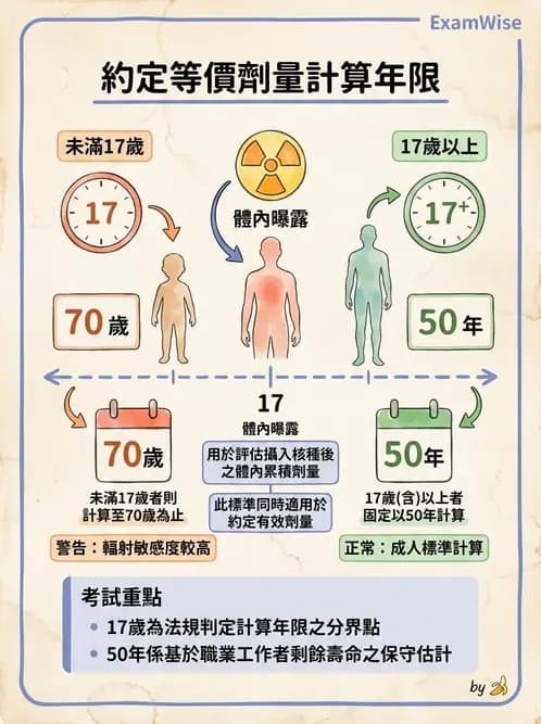 放射 - 體內劑量 - AI 圖文解析預覽