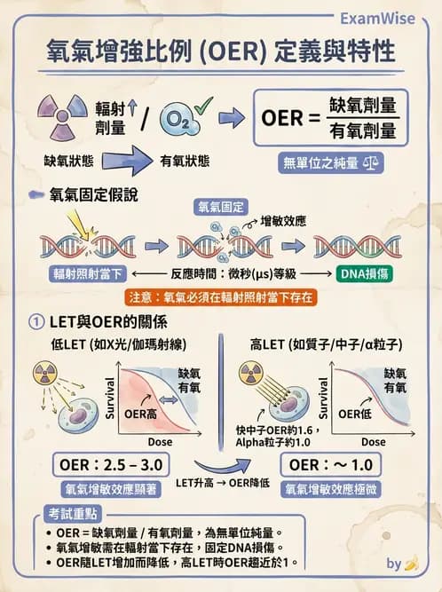 放射 - 輻射物理生物基礎 - AI 圖文解析預覽