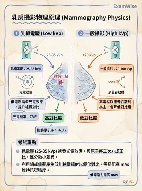 放射 - 影像接受器與乳房攝影 - AI 圖文解析預覽